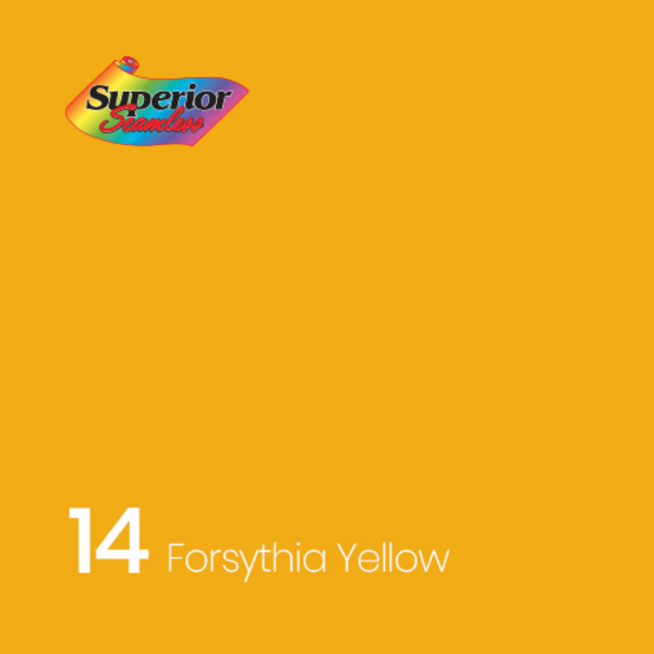 엘케이포토 - 슈페리어 Superior 14 Forsythia Yellow 종이 롤 배경지